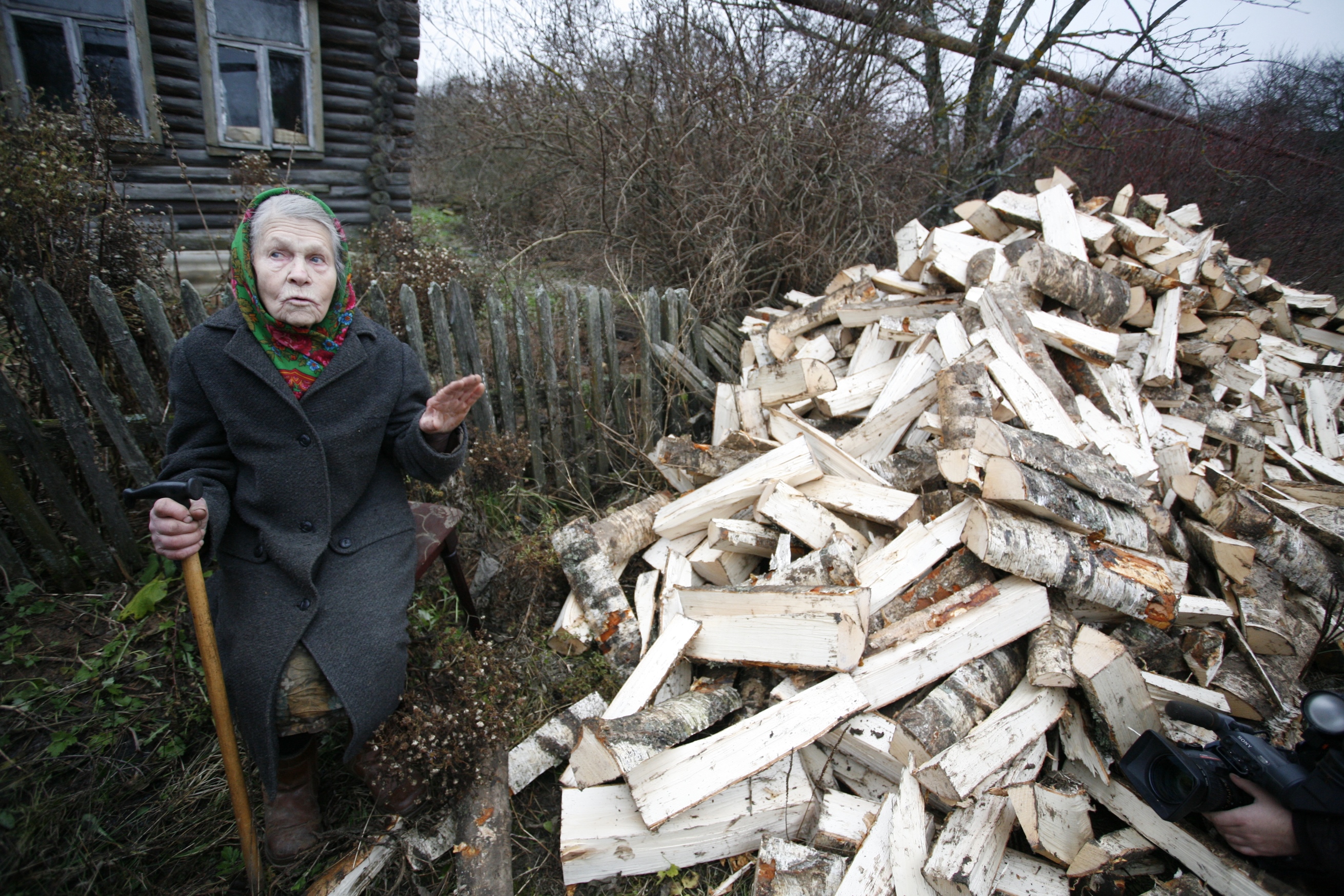 Акция «Подари дрова» завершилась в рекордные сроки: дровами обеспечат 76 домов