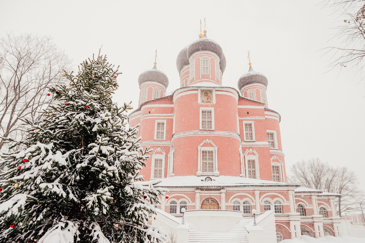 Фото: Ксения Новикова/сайт Донского монастыря
