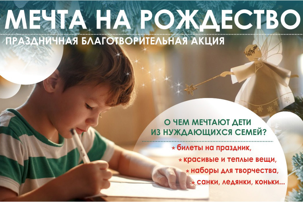 В Казанской епархии запустили благотворительную акцию «Мечта на Рождество»